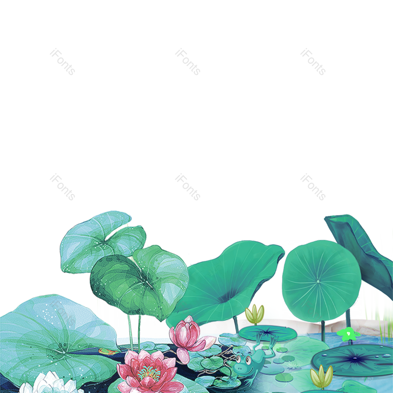 中国风图片,荷花元素,夏天PNG,插画免抠素材